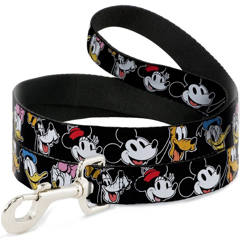 Correa Cinta Dixon M Mickey