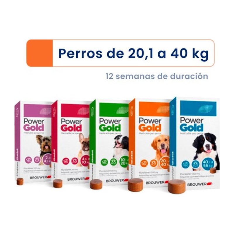 Power Gold 3 Meses Comprimido 20-40 kg