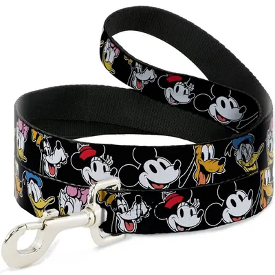 Correa Cinta Dixon M Mickey