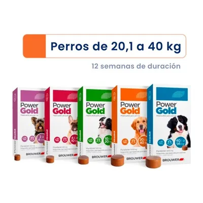Power Gold 3 Meses Comprimido 20-40 kg